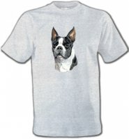 Boston Terrier (D)