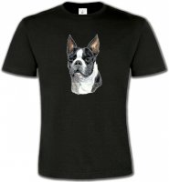 Boston Terrier (D)