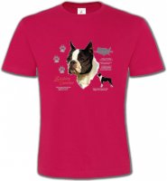 Boston Terrier (A)