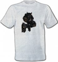 Bouvier des Flandres noir (C)