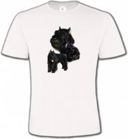 Bouvier des Flandres noir (C)