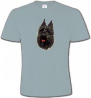 Bouvier des Flandres noir (A)