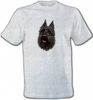 Bouvier des Flandres noir (A)