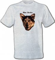 Bouvier australien(A)