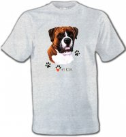 Boxer brun et blanc (B)
