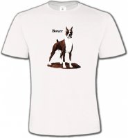 Boxer brun et blanc (M)