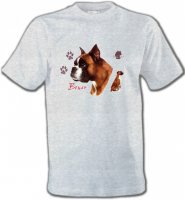 Boxer