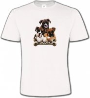 Trois Boxers (D)