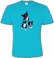 Bulldog Français noir et blanc (BF)