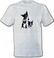 Bulldog Français noir et blanc (BF)