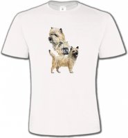 Cairn Terrier (A)