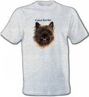 Cairn Terrier (C)