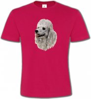 Tête de Caniche (D)