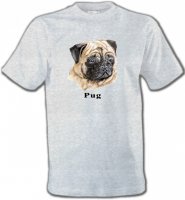 Carlin Pug (C)