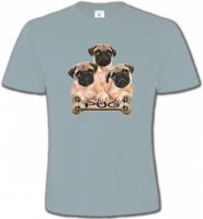 Carlin Pug (B)