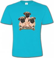 Carlin Pug (B)