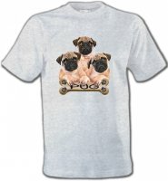Carlin Pug (B)