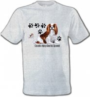 Cavalier King Charles (A)