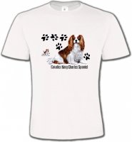 Cavalier King Charles (A)