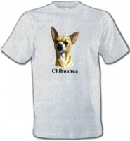 Chihuahua (C)