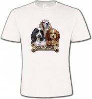 Cocker Spaniel chiots