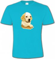 Cocker bébé beige(Yb)