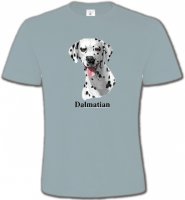 Tête Dalmatien (D)