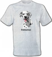 Tête Dalmatien (D)