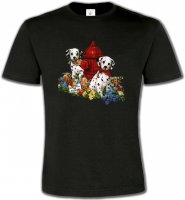 Dalmatiens chiots (A)