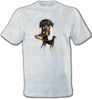 Doberman (B)