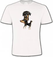 Doberman (B)