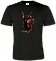 Doberman (G)