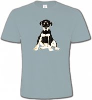 Doberman bébé (E)
