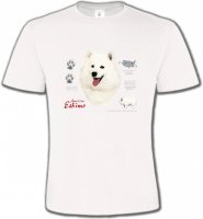 Esquimau Américain (B)