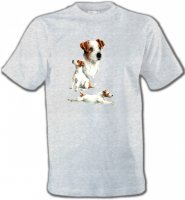 Fox Terrier Chiot