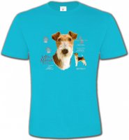 Fox Terrier (B)