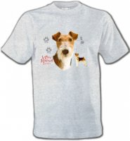 Fox Terrier (B)