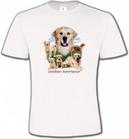 Golden Retriever Paysage (MG)
