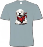 Golden Retriever Chiot Blanc (C2G)