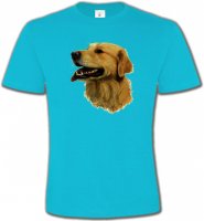 Tête de Golden Retriever (KG)