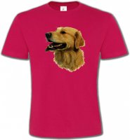 Tête de Golden Retriever (KG)