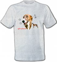 Greyhound Lévrier (N)