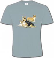 Famille Welsh Corgi (D)