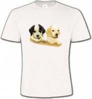 Deux chiots