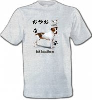 Jack Russell Terrier (D)