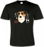 Jack Russell Terrier (C)