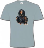 Cavalier King Charles Noir et Marron (D)