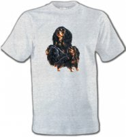Cavalier King Charles Noir et Marron (D)