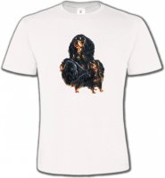 Cavalier King Charles Noir et Marron (D)