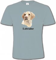 Tête de Labrador sable (S)